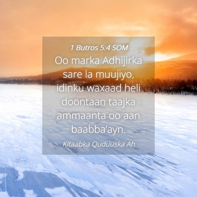 Picture 04 - 1 Butros 5:4 SOM - Oo marka Adhijirka sare la muujiyo, idinku waxaad - Bible Verse Picture