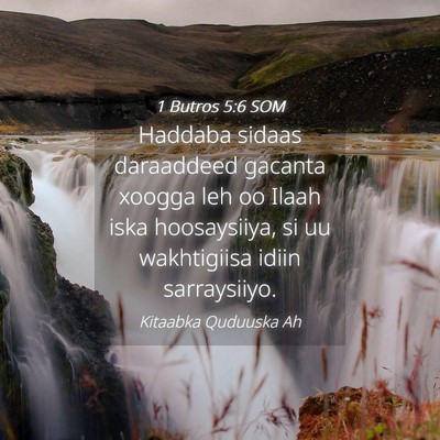 Picture 04 - 1 Butros 5:6 SOM - Haddaba sidaas daraaddeed gacanta xoogga leh oo - Bible Verse Picture