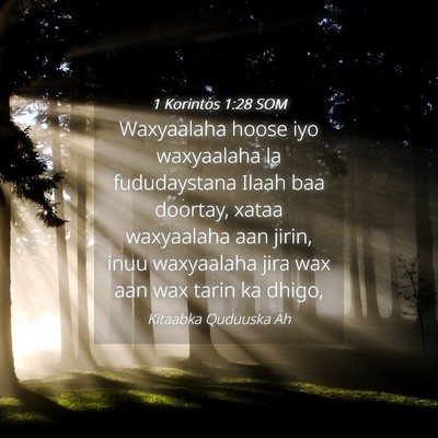 Picture 04 - 1 Korintos 1:28 SOM - Waxyaalaha hoose iyo waxyaalaha la fududaystana - Bible Verse Picture