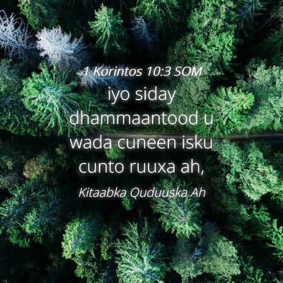 Picture 04 - 1 Korintos 10:3 SOM - iyo siday dhammaantood u wada cuneen isku cunto - Bible Verse Picture