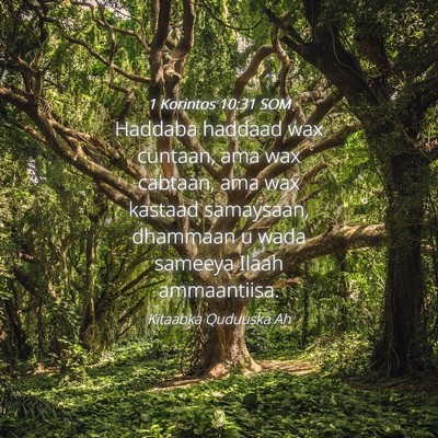Picture 04 - 1 Korintos 10:31 SOM - Haddaba haddaad wax cuntaan, ama wax cabtaan, ama - Bible Verse Picture