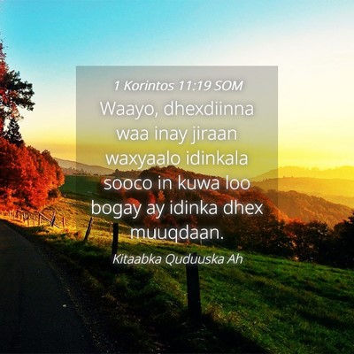Picture 04 - 1 Korintos 11:19 SOM - Waayo, dhexdiinna waa inay jiraan waxyaalo - Bible Verse Picture