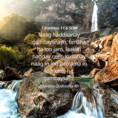 Picture 04 - 1 Korintos 11:6 SOM - Naag haddaanay gambaysnayn, timaha ha loo jaro, - Bible Verse Picture