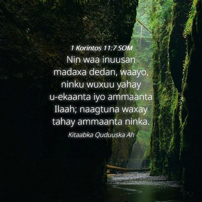 Picture 04 - 1 Korintos 11:7 SOM - Nin waa inuusan madaxa dedan, waayo, ninku wuxuu - Bible Verse Picture