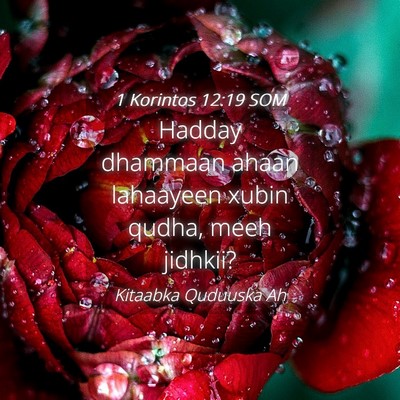 Picture 04 - 1 Korintos 12:19 SOM - Hadday dhammaan ahaan lahaayeen xubin qudha, meeh - Bible Verse Picture