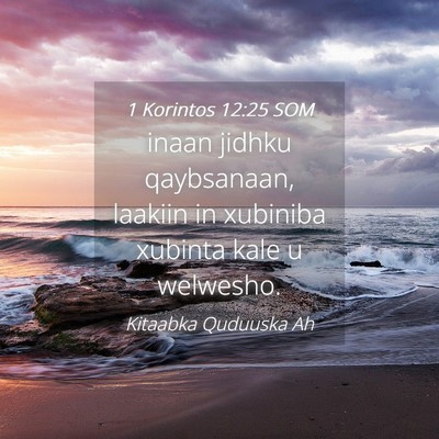 Picture 04 - 1 Korintos 12:25 SOM - inaan jidhku qaybsanaan, laakiin in xubiniba - Bible Verse Picture