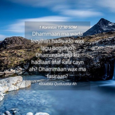 Picture 04 - 1 Korintos 12:30 SOM - Dhammaan ma wada leeyihiin hadiyado wax lagu - Bible Verse Picture