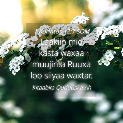 Picture 04 - 1 Korintos 12:7 SOM - Laakiin mid kasta waxaa muujinta Ruuxa loo siiyaa - Bible Verse Picture