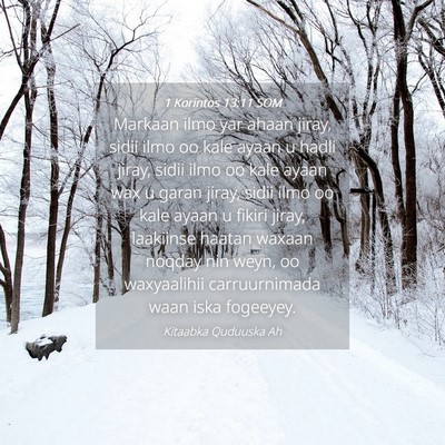 Picture 04 - 1 Korintos 13:11 SOM - Markaan ilmo yar ahaan jiray, sidii ilmo oo kale - Bible Verse Picture