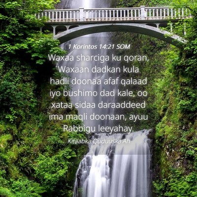 Picture 04 - 1 Korintos 14:21 SOM - Waxaa sharciga ku qoran, Waxaan dadkan kula hadli - Bible Verse Picture
