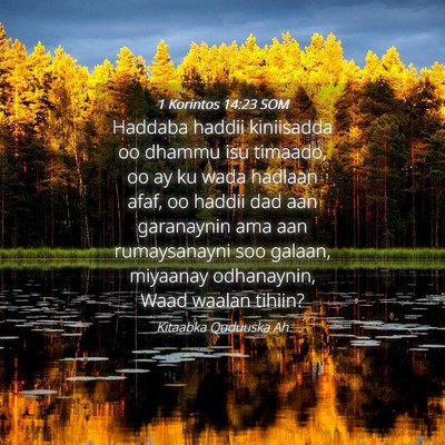 Picture 04 - 1 Korintos 14:23 SOM - Haddaba haddii kiniisadda oo dhammu isu timaado, - Bible Verse Picture