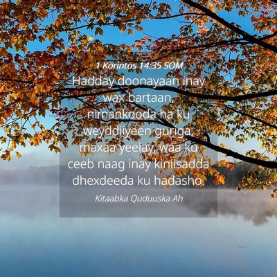 Picture 04 - 1 Korintos 14:35 SOM - Hadday doonayaan inay wax bartaan, nimankooda ha - Bible Verse Picture