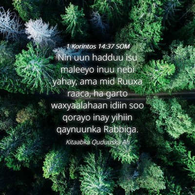Picture 04 - 1 Korintos 14:37 SOM - Nin uun hadduu isu maleeyo inuu nebi yahay, ama - Bible Verse Picture