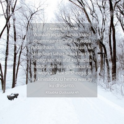 Picture 04 - 1 Korintos 14:5 SOM - Waxaan jeclaan lahaa inaad dhammaantiin afaf ku - Bible Verse Picture