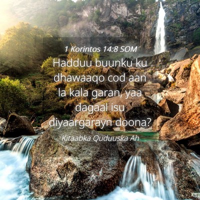 Picture 04 - 1 Korintos 14:8 SOM - Hadduu buunku ku dhawaaqo cod aan la kala garan, - Bible Verse Picture