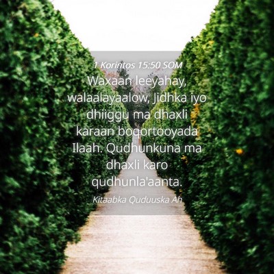 Picture 04 - 1 Korintos 15:50 SOM - Waxaan leeyahay, walaalayaalow, Jidhka iyo - Bible Verse Picture