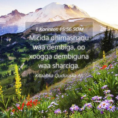 Picture 04 - 1 Korintos 15:56 SOM - Micida dhimashadu waa dembiga, oo xoogga - Bible Verse Picture