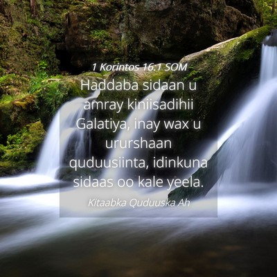 Picture 04 - 1 Korintos 16:1 SOM - Haddaba sidaan u amray kiniisadihii Galatiya, - Bible Verse Picture