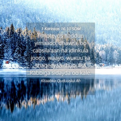 Picture 04 - 1 Korintos 16:10 SOM - Timoteyos hadduu yimaado, dhawra, oo cabsila'aan - Bible Verse Picture