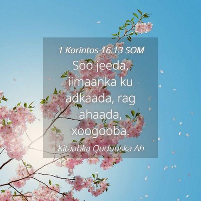 Picture 04 - 1 Korintos 16:13 SOM - Soo jeeda, iimaanka ku adkaada, rag ahaada, - Bible Verse Picture