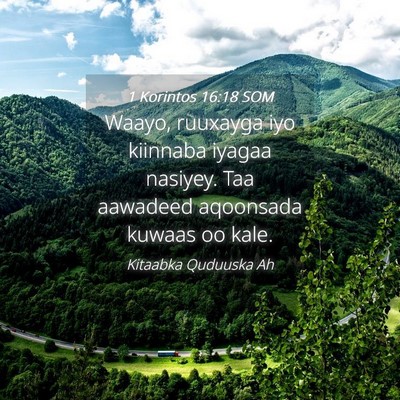 Picture 04 - 1 Korintos 16:18 SOM - Waayo, ruuxayga iyo kiinnaba iyagaa nasiyey. Taa - Bible Verse Picture