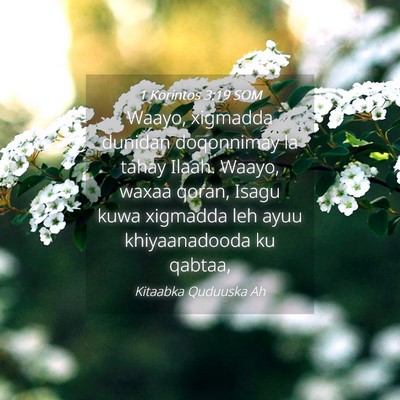 Picture 04 - 1 Korintos 3:19 SOM - Waayo, xigmadda dunidan doqonnimay la tahay - Bible Verse Picture