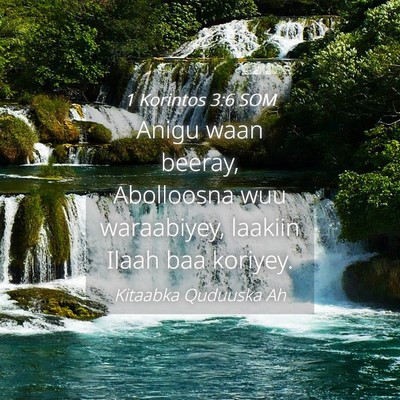 Picture 04 - 1 Korintos 3:6 SOM - Anigu waan beeray, Abolloosna wuu waraabiyey, - Bible Verse Picture
