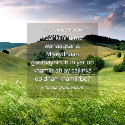 Picture 04 - 1 Korintos 5:6 SOM - Faankiinnu ma wanaagsana. Miyeydnaan garanaynin - Bible Verse Picture