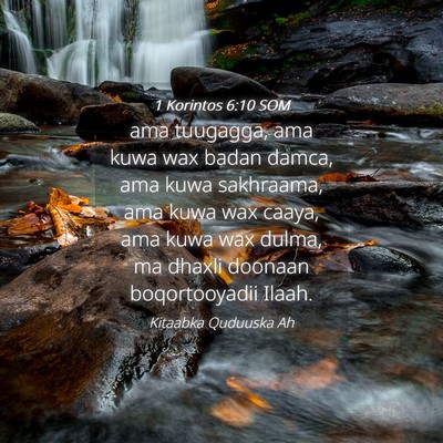 Picture 04 - 1 Korintos 6:10 SOM - ama tuugagga, ama kuwa wax badan damca, ama kuwa - Bible Verse Picture