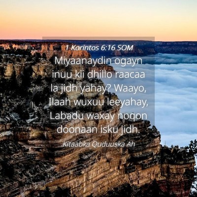 Picture 04 - 1 Korintos 6:16 SOM - Miyaanaydin ogayn inuu kii dhillo raacaa la jidh - Bible Verse Picture