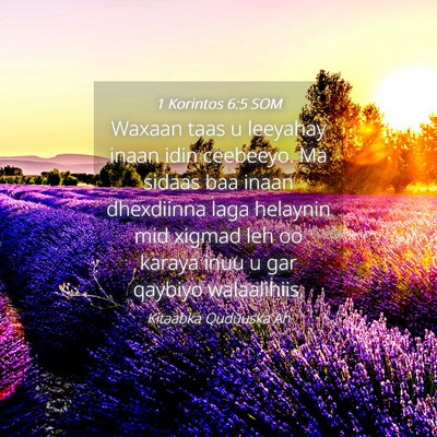 Picture 04 - 1 Korintos 6:5 SOM - Waxaan taas u leeyahay inaan idin ceebeeyo. Ma - Bible Verse Picture