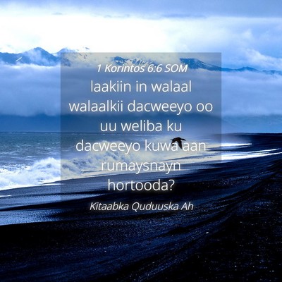 Picture 04 - 1 Korintos 6:6 SOM - laakiin in walaal walaalkii dacweeyo oo uu weliba - Bible Verse Picture