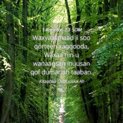 Picture 04 - 1 Korintos 7:1 SOM - Waxyaalahaad ii soo qorteen xaggooda, Waxaa nin u - Bible Verse Picture