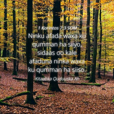 Picture 04 - 1 Korintos 7:3 SOM - Ninku afada waxa ku qumman ha siiyo, sidaas oo - Bible Verse Picture
