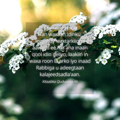 Picture 04 - 1 Korintos 7:35 SOM - Tan waxaan idinku leeyahay waxtarkiinna aawadii - Bible Verse Picture