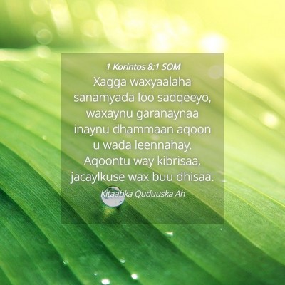 Picture 04 - 1 Korintos 8:1 SOM - Xagga waxyaalaha sanamyada loo sadqeeyo, waxaynu - Bible Verse Picture