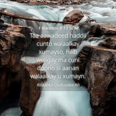 Picture 04 - 1 Korintos 8:13 SOM - Taa aawadeed haddii cunto walaalkay xumayso, - Bible Verse Picture