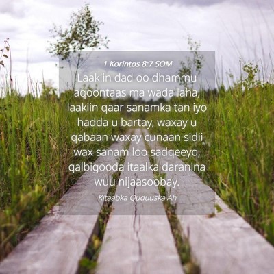 Picture 04 - 1 Korintos 8:7 SOM - Laakiin dad oo dhammu aqoontaas ma wada laha, - Bible Verse Picture