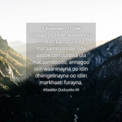 Picture 04 - 1 Tesaloniika 2:11 SOM - Sidaad og tihiin waxaannu midkiin kastaba kula - Bible Verse Picture