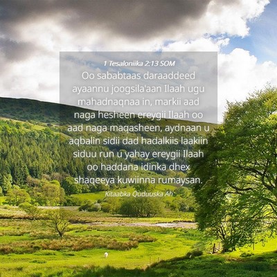 Picture 04 - 1 Tesaloniika 2:13 SOM - Oo sababtaas daraaddeed ayaannu joogsila'aan - Bible Verse Picture