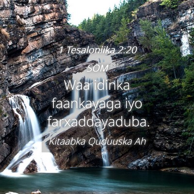 Picture 04 - 1 Tesaloniika 2:20 SOM - Waa idinka faankayaga iyo - Bible Verse Picture