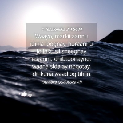 Picture 04 - 1 Tesaloniika 3:4 SOM - Waayo, markii aannu idinla joognay, horaannu - Bible Verse Picture