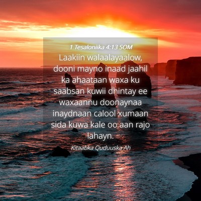 Picture 04 - 1 Tesaloniika 4:13 SOM - Laakiin walaalayaalow, dooni mayno inaad jaahil - Bible Verse Picture