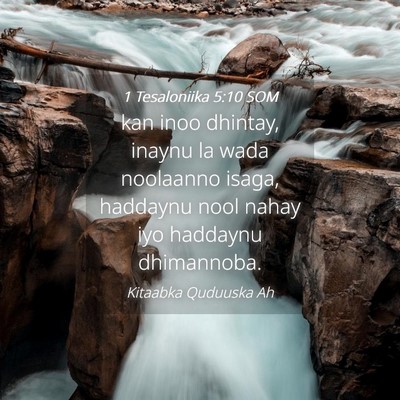 Picture 04 - 1 Tesaloniika 5:10 SOM - kan inoo dhintay, inaynu la wada noolaanno isaga, - Bible Verse Picture