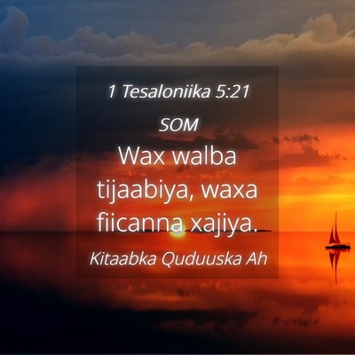 Picture 04 - 1 Tesaloniika 5:21 SOM - Wax walba tijaabiya, waxa fiicanna - Bible Verse Picture