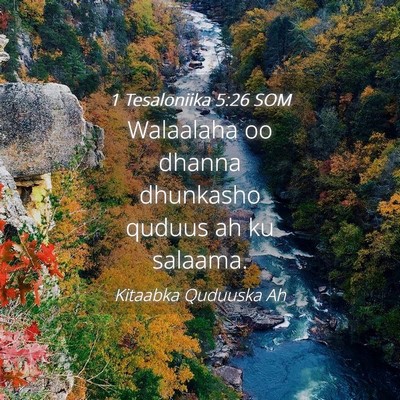 Picture 04 - 1 Tesaloniika 5:26 SOM - Walaalaha oo dhanna dhunkasho quduus ah ku - Bible Verse Picture