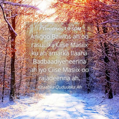 Picture 04 - 1 Timoteyos 1:1 SOM - Anigoo Bawlos ah oo rasuulkii Ciise Masiix ku ah - Bible Verse Picture