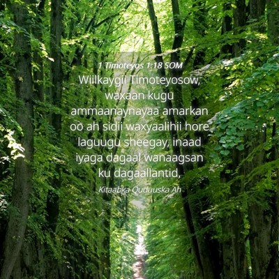 Picture 04 - 1 Timoteyos 1:18 SOM - Wiilkaygii Timoteyosow, waxaan kugu ammaanaynayaa - Bible Verse Picture