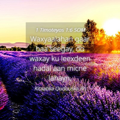 Picture 04 - 1 Timoteyos 1:6 SOM - Waxyaalahan qaar baa seegay, oo waxay ku leexdeen - Bible Verse Picture