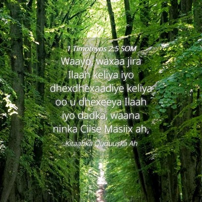 Picture 04 - 1 Timoteyos 2:5 SOM - Waayo, waxaa jira Ilaah keliya iyo dhexdhexaadiye - Bible Verse Picture